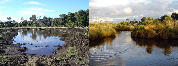 Before and after photos of Rance’s pond.