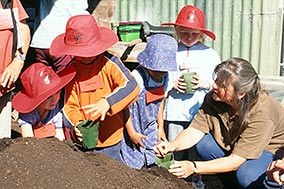 School children learn how to pot up plants.