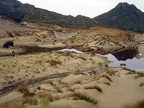 Ruggedy Beach, Stewart Island.