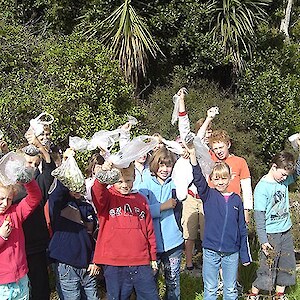 Seed collecting