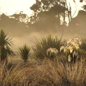 A misty morning in March 2012