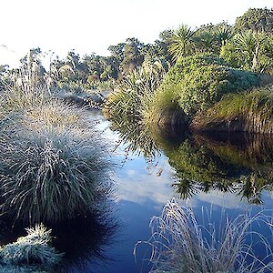 Rances pond in Winter