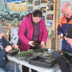 Doing Cuttings