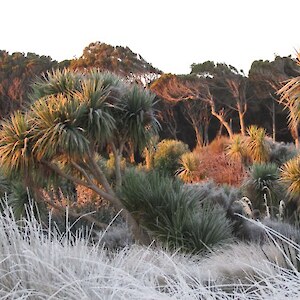 Winter in Southland