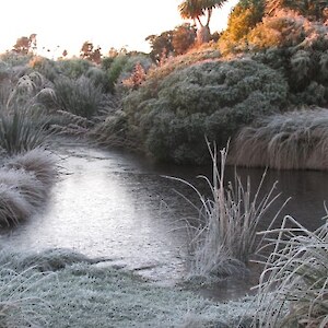 The pond freezes over - July 2015