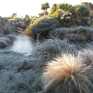 A lovely winter scene at the nursery