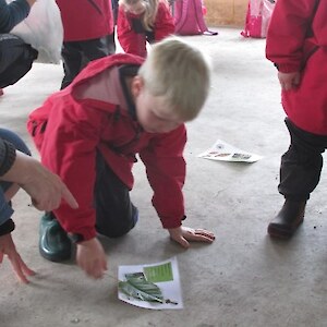 The leaf matching game