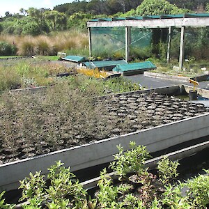 Nursery filling up