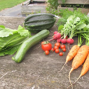 Some recent veggie pickings