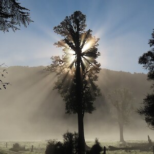 Early morning at Lake Matheson