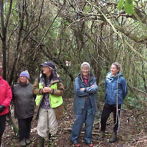 SERN Trip - understory of Anns now mature plantings